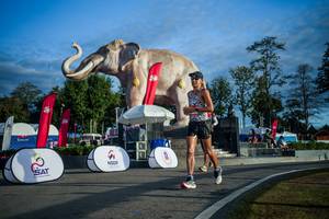 BIB: 
                            <button type="button" onclick="openModal(26541565)" class="btn btn-primary btn-sm float-right btn-popup" data-toggle="modal" data-target=".modal-high-quality">
                        <i class="fas fa-shopping-cart"></i> Add to Cart
                    </button>
                                            <button type="button" onclick="isThisMe(26541565, true)" class="btn btn-success btn-sm float-right btn-popup btn-isme hidden" data-toggle="tooltip" data-placement="bottom" title="นี่คือรูปของคุณใช่ไหม คลิกที่นี่เพื่อเอาเข้าอัลบั้ม">
                        <i class="fas fa-plus"></i> Add to album
                    </button>
                    <button type="button" onclick="isThisMe(26541565, false)" class="btn btn-warning btn-sm float-right btn-popup btn-isnotme hidden">
                        <i class="fas fa-ban"></i> Remove from album
                    </button>